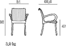 Dama Zeichnung